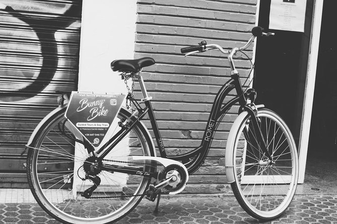 1 Day Bike Rental in Seville city - Choosing Your Bike Type: Fit and Comfort Beat Fancy Features