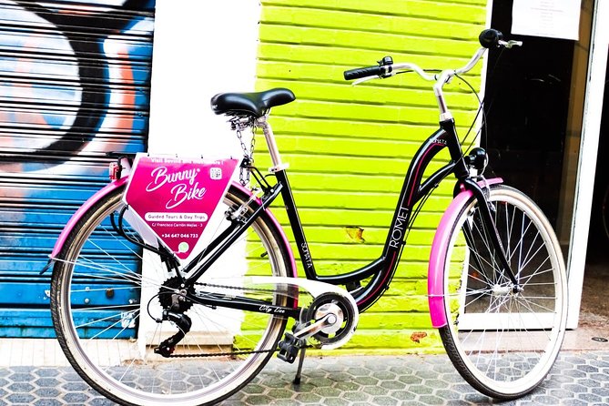 1 Day Bike Rental in Seville city - Group Size and the Pickup Experience: What 30 Riders Means