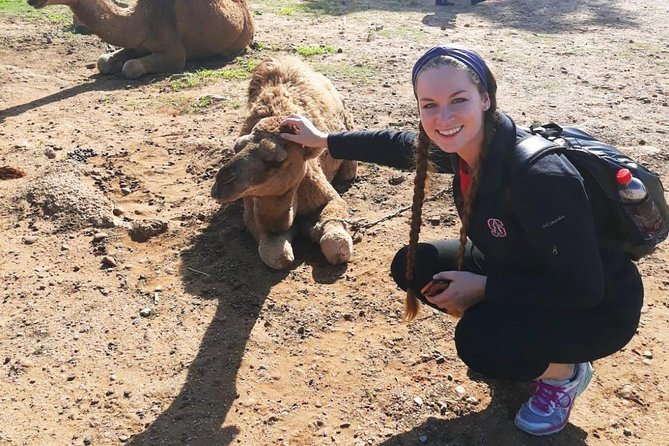 2 Days Tangier (Morocco) Trip from Seville - Key things to know before you go