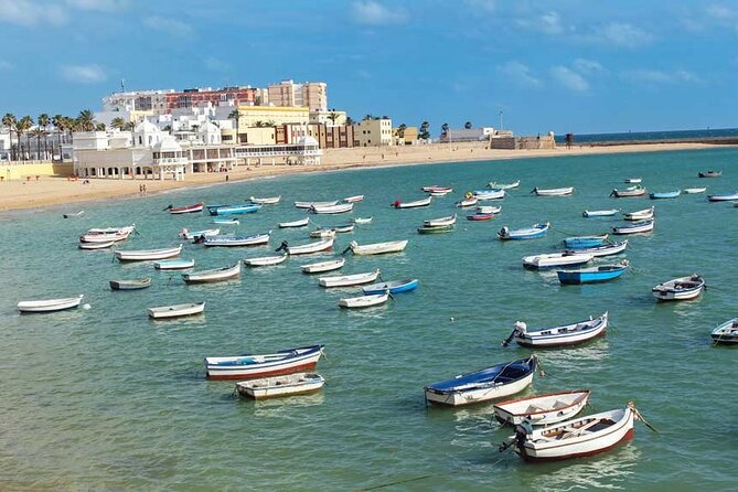 2 Hours Tour around Cádiz: History, anecdotes and curiosities - Stop 5: Casa Palacio de los Mora, merchant houses made understandable