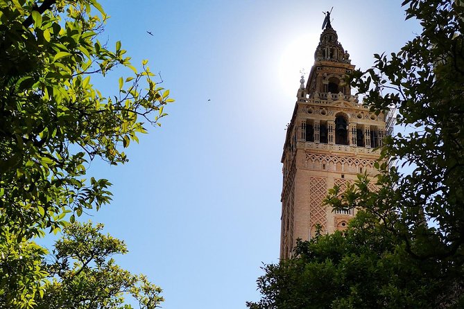 2h30 Private Walking Tour of Seville with Local Guide - Real Maestranza and the Tobacco Factory, Power Centers You Can See
