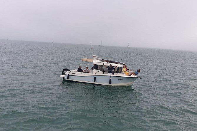 3-hour boat ride through the Bay of Cadiz - Setting Sail in El Puerto de Santa María