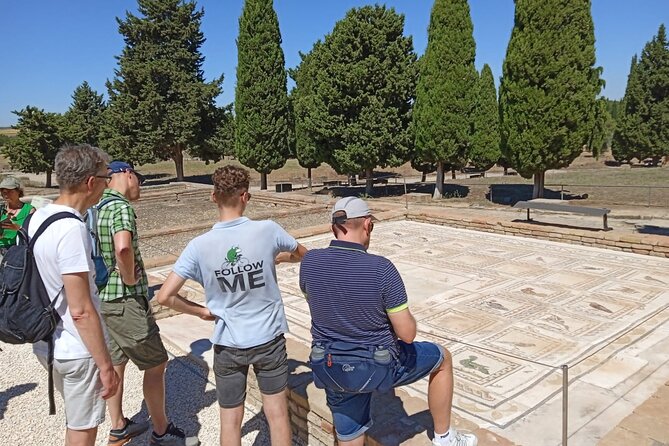 5 hour Electric Bike Tour to the Ruins of Italica - From Seville to Italica, the day you can actually fit
