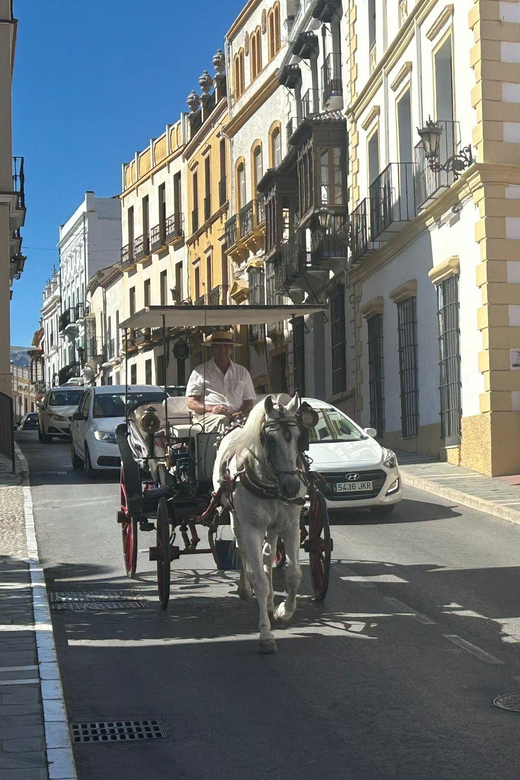 ab Marbella: Private VIP-Tour Ronda incl. Transfer + Tapas - Why Ronda is the kind of day trip you remember