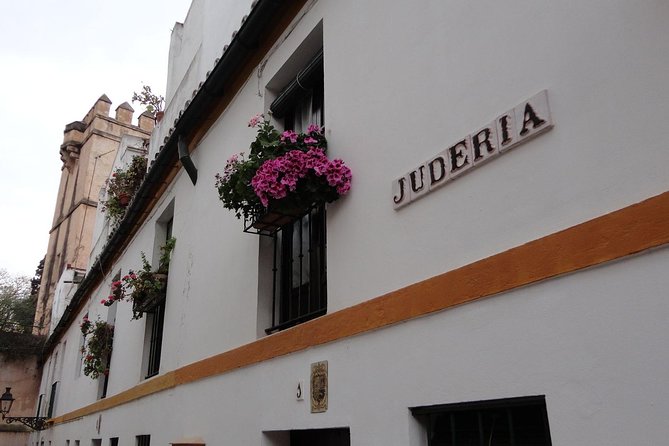 Alcázar and Jewish Quarter Guided Walking Tour in Seville - Timing, walking distance, and pacing that fits your day