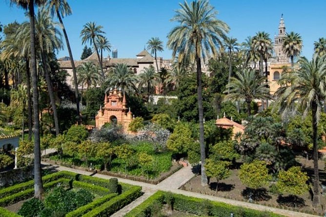 Alcazar, Cathedral and Giralda of Seville with entrance fee included - Price and logistics: what $66.08 really buys