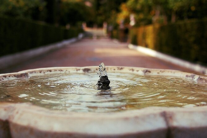 Alcazar & Cathedral of Seville Private Guided Tour - Should you book the Alcázar and Cathedral private guided tour?