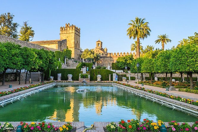 Alcazar of Cordoba Small Group Tour with Skip the Line Ticket - Meeting point basics so you do not waste your first minutes