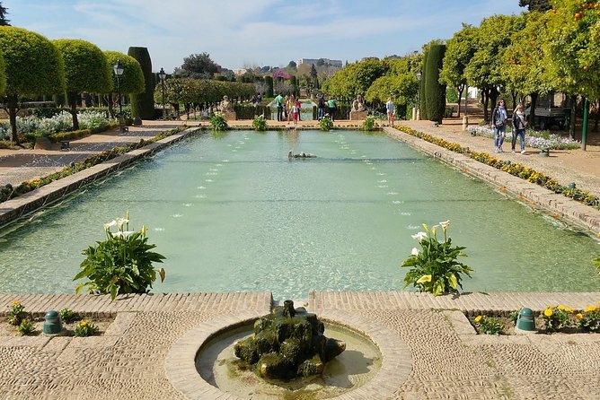 Alcazar of Cordoba Small Group Tour with Skip the Line Ticket - Patio Morisco and the Moorish baths, the cool break in the middle of the story