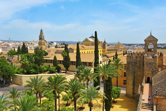 Alcazar of Cordoba Small Group Tour with Skip the Line Ticket - Gardens with fountains and old trees, the photo op that feels like a real retreat