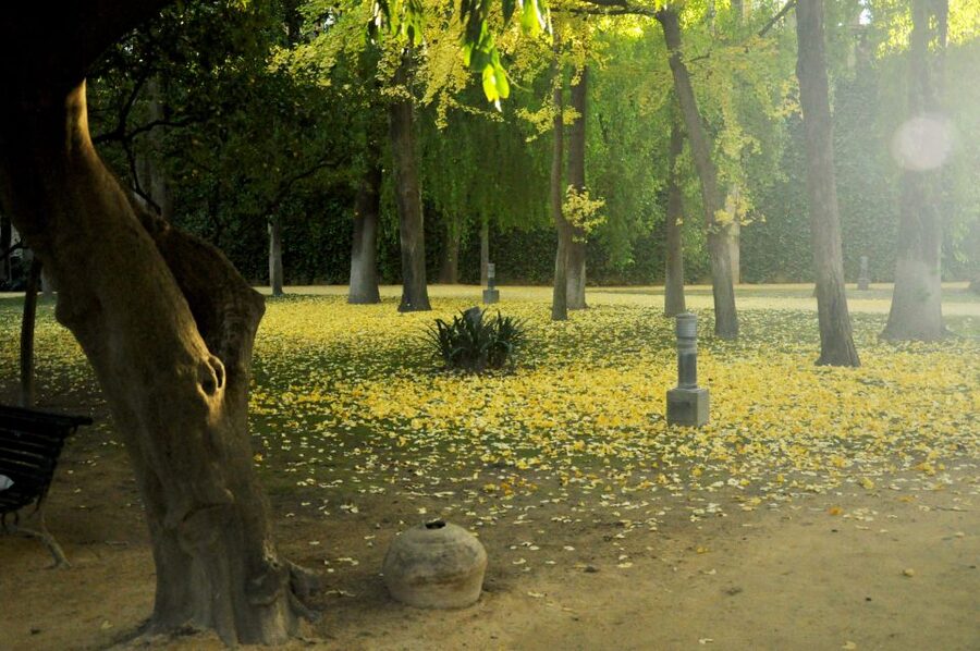 Alcázar of Seville Skip-the-Line Tickets and Guided Tour - Should you book this Alcázar skip-the-line guided tour?