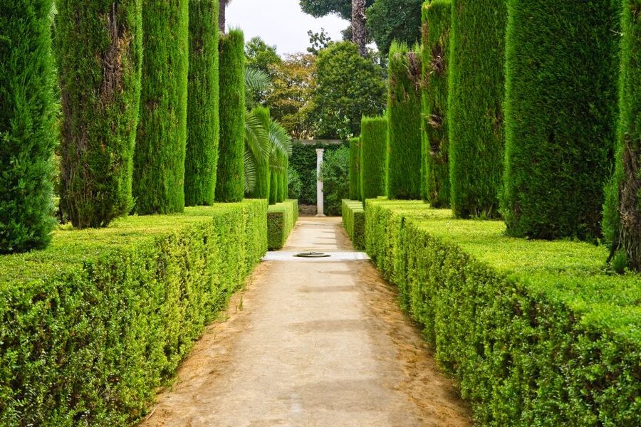 Alcazar of Seville VIP Tour - Meeting Plaza del Triunfo and how the 3-hour visit feels