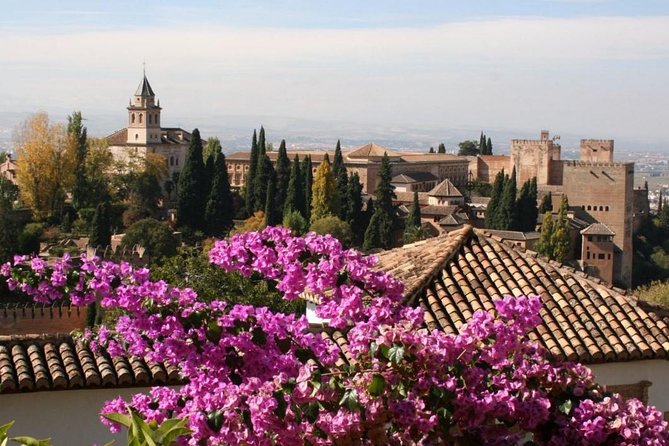 Alhambra Guided Tour & Albaicin Tour from Seville - Entering the Alhambra with a guide: how the Nasrid story clicks