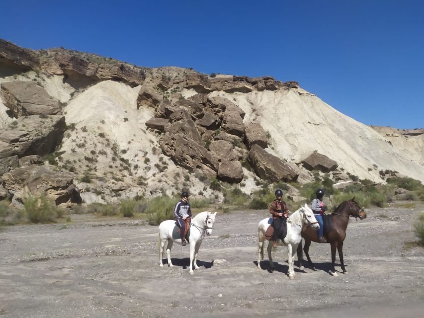 Almeria: Horse Riding Tour Through the Tabernas Desert - Key things to know before you ride