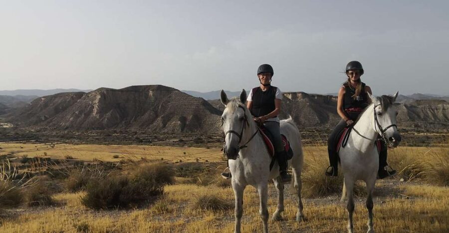 Almeria: Horse Riding Tour Through the Tabernas Desert - Why Tabernas Desert horseback riding feels different from a typical tour