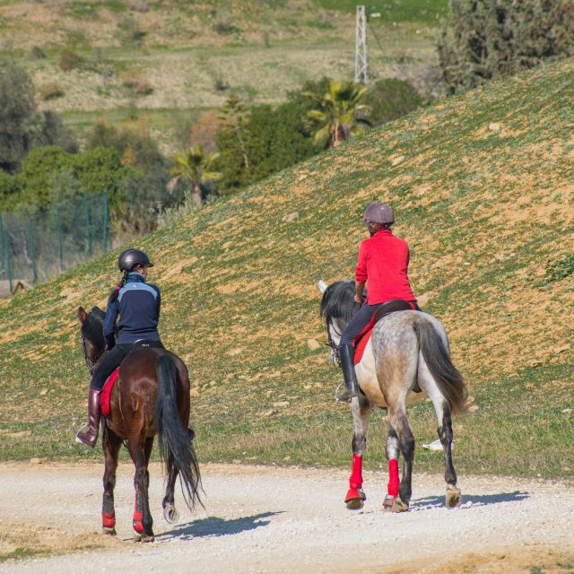Andalucia: Horse Riding Tour with Picnic - Key things that make this horse and picnic tour worth it