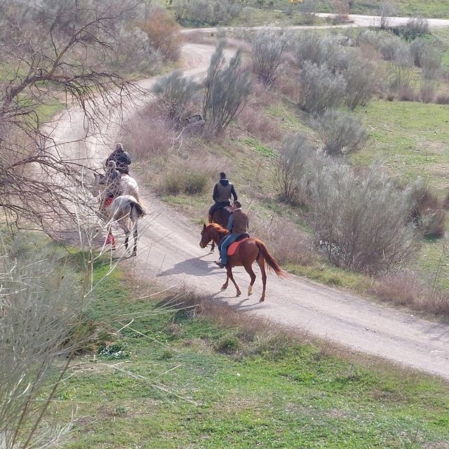 Andalucia: Horse Riding Tour with Picnic - First steps at Cortijo del Arte: what happens before you ride