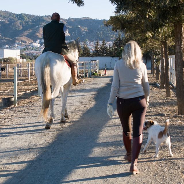 Andalucia: Horse Riding Tour with Picnic - The 2-hour horseback ride: what to expect on the ground and in motion