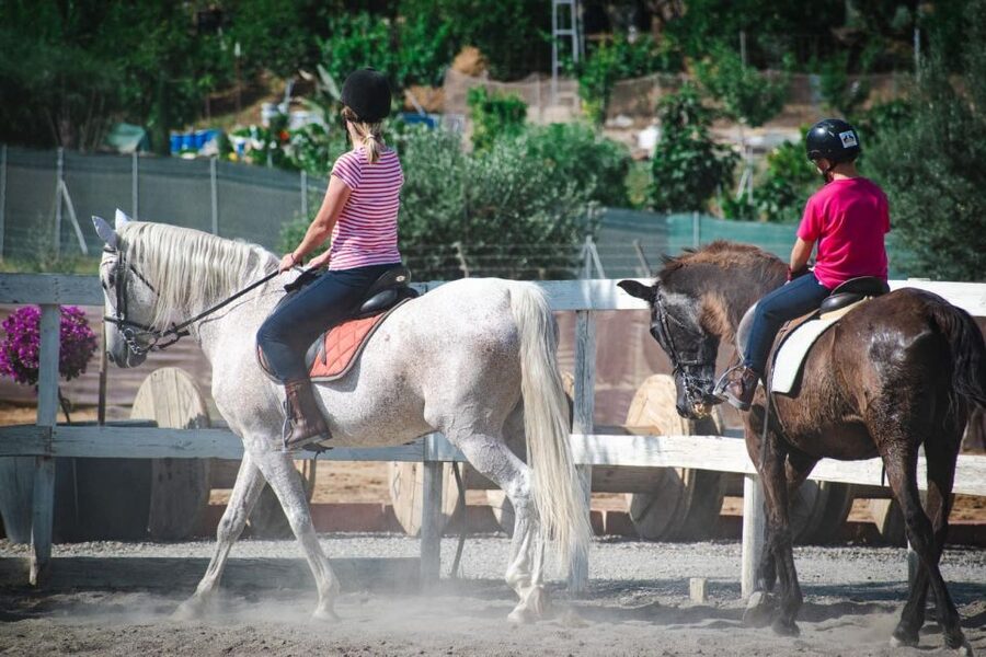 Andalucia: Horse Riding Tour with Picnic - Mixed ages and mixed skill levels, handled well