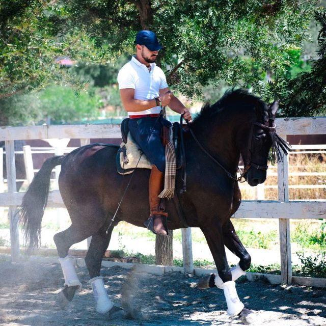 Andalucia: Horse Riding Tour with Picnic - Who this tour suits best