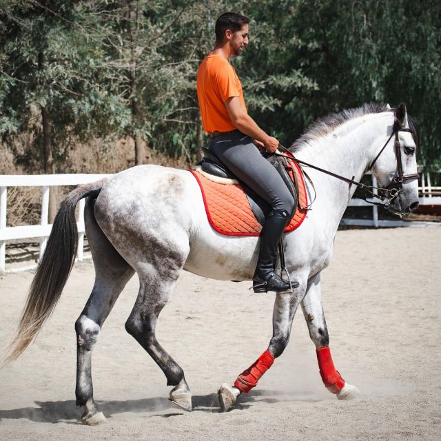 Andalucia: Horse Riding Tour with Picnic - Should you book this Andalusia horse riding and picnic tour?