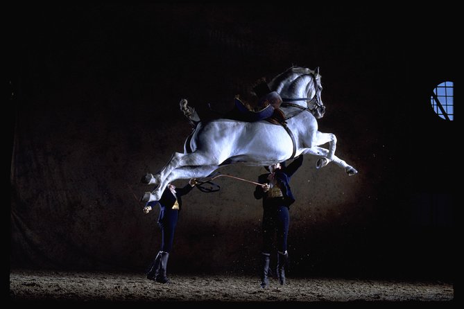 Andalusian Horses Dance Show - Key Things I’d Bank On Before You Go