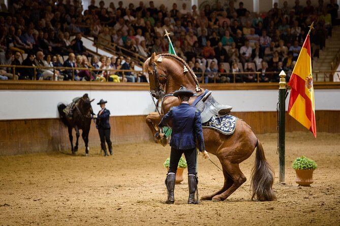 Andalusian Horses Dance Show - How the Andalusian Horse Dance Works (and Why It Feels So Different)