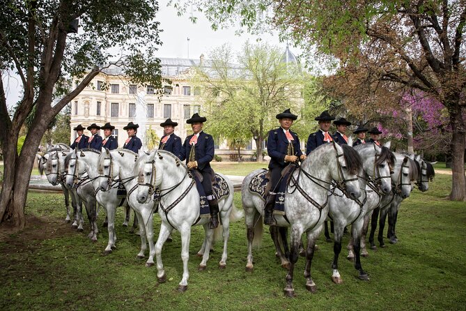 Andalusian Horses Dance Show - Family-Friendly, But Not Baby-Show Simple