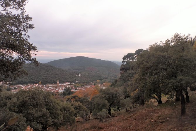 Aracena & Riotinto Mines Tour from Seville - Aracena’s castle and priory hill: where the town’s layers show