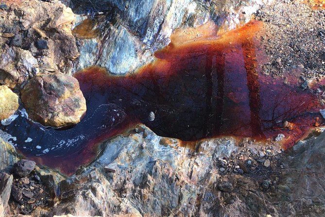 Aracena & Riotinto Mines Tour from Seville - Price and value: what $114.14 gets you (and what it doesn’t)