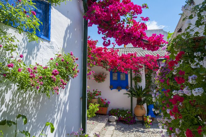 Authentic Patios of Cordoba Guided Tour - Key highlights you should care about