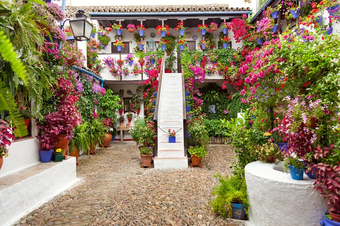 Authentic Patios of Cordoba Guided Tour - Patios de Cordoba: comparing garden style across homes