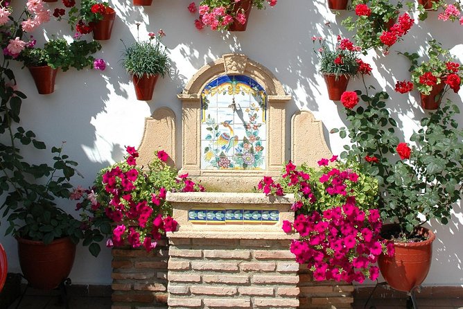 Authentic Patios of Cordoba Guided Tour - What you gain from the guide, not just the ticket