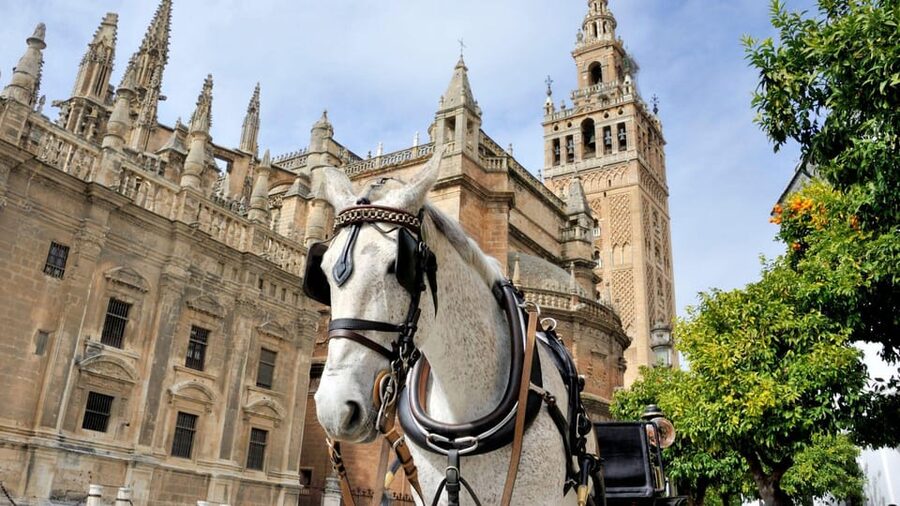 Best of Seville: Private Walking Tour with Local - Personalized pacing with real local stories, from Pedro to Cristina