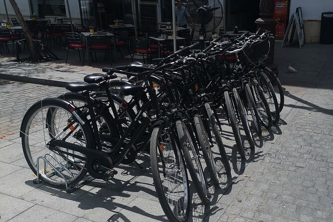 Bike rental day - Why a one-day bike rental works so well in Seville