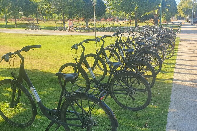 Bike Rental per Day in Seville - Key Things To Know Before You Ride