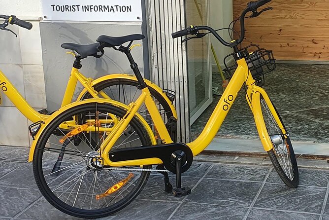 Bike Rental per Day in Seville - Seville by Bike Lanes: Why This City Feels Easy on Wheels
