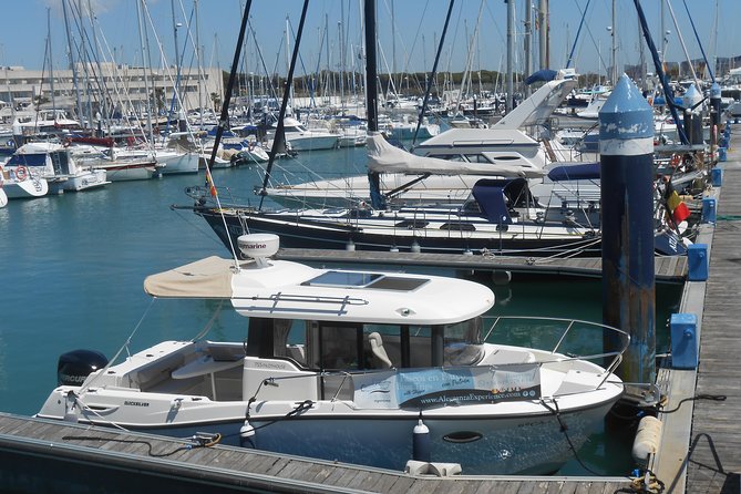 Boat and fishing trips in the Cadiz bay - Price and value: $396.08 per group up to 7