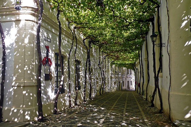Cadiz and Jerez Day Trip from Seville - Markets, lunch timing, and the beach option near Castillo de San Sebastián