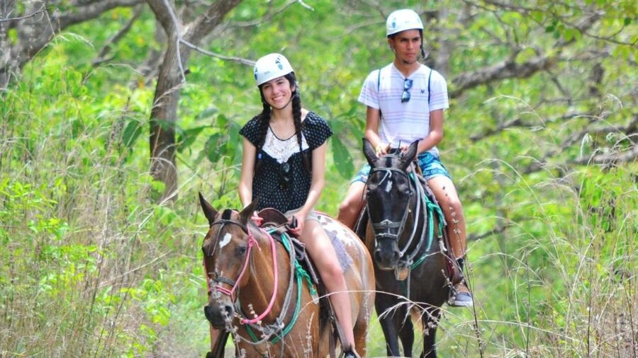 Cádiz Country side: Ride an Andalusian Horse - Meeting the Team and Getting Ready at the Stables
