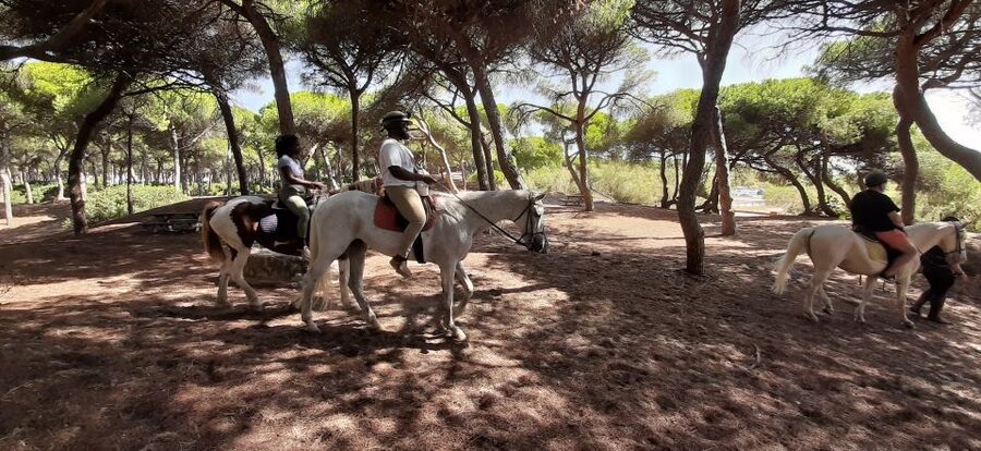 Cádiz Country side: Ride an Andalusian Horse - Practicalities: Where You Meet and What to Bring