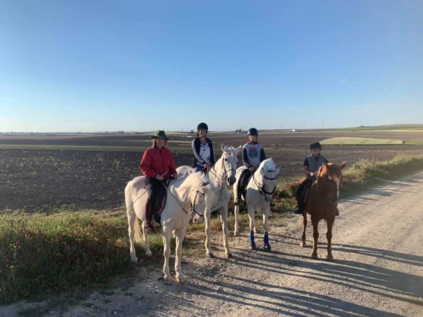 Cádiz Country side: Ride an Andalusian Horse - Should You Book This Cadiz Horse Ride?