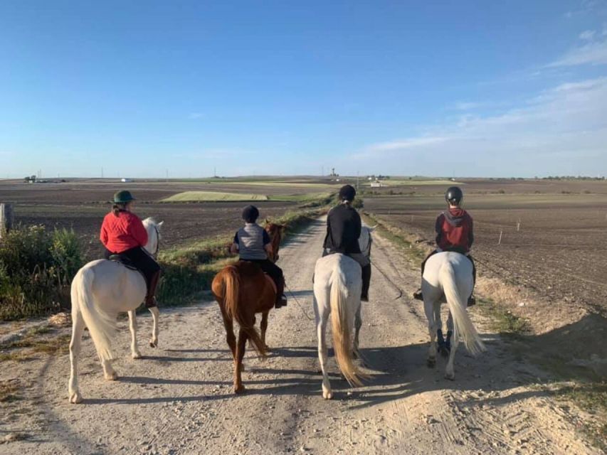 Cádiz Country side: Ride an Andalusian Horse - How the Guide Matches You and Your Andalusian Horse