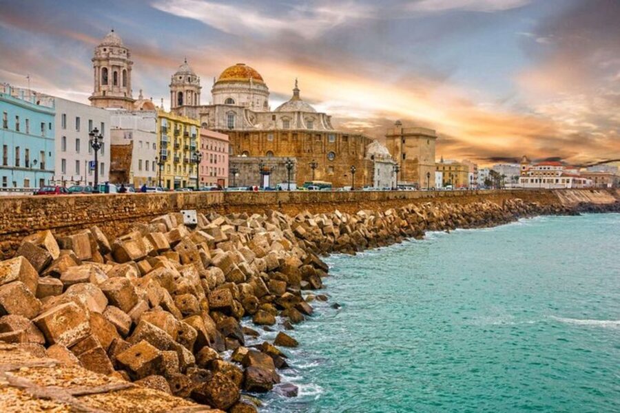 Cádiz: Local Tapas Experience - Key highlights you should care about