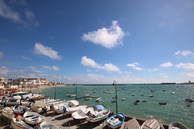 Cadiz Private Walking Tour with a Local - Cathedral Square, Beaches, and Gardens for an Easy Pace Morning