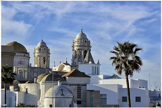 Cadiz Shore Excursion: Scenic & walking tour with cheese and sherry tasting - What can go wrong, and how to reduce your odds of a wasted shore day