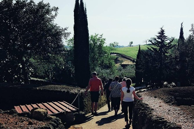 Carmona and Necropolis: Guided Day Tour from Seville - Timing: what a 4 to 5 hour plan feels like on the ground