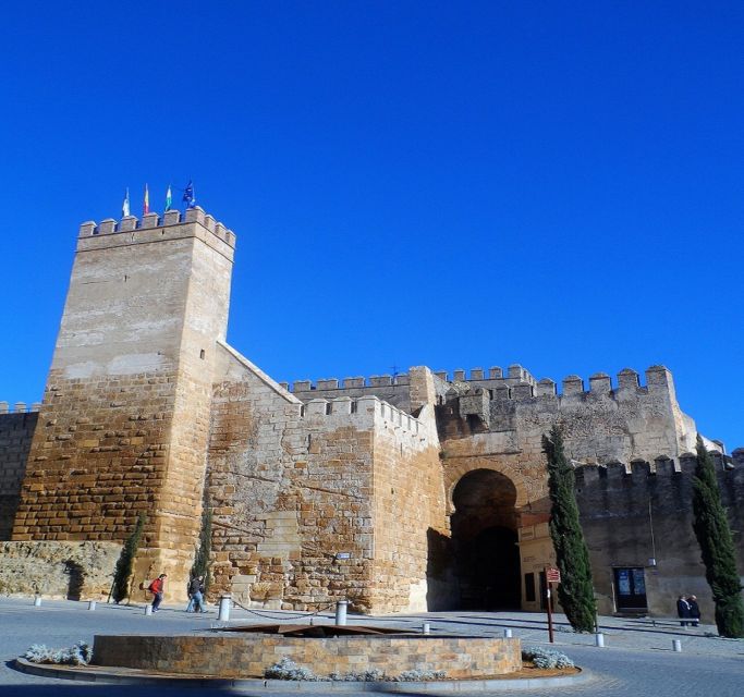 Carmona and Necropolis Tour from Seville - Shared vs private: choose your comfort level