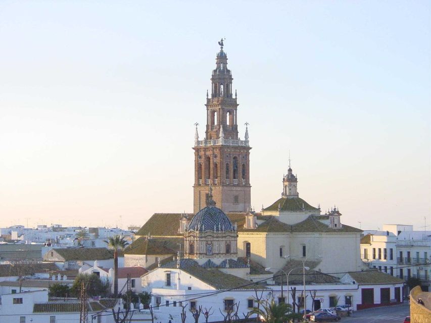 Carmona and Necropolis Tour from Seville - The Roman Necropolis of Carmona, why the guide visit counts