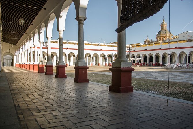Carmona Roman Necropolis and History Walking Tour - Carmona’s Roman Necropolis: 300+ tombs, built to honor the dead